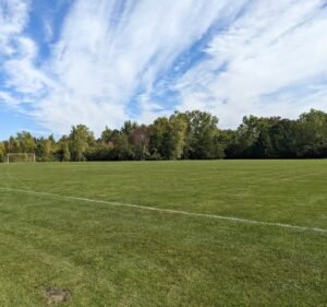 Soccer Field image 2